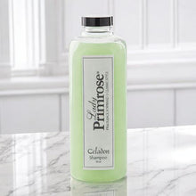 Load image into Gallery viewer, Celadon Shampoo Refill, 32oz