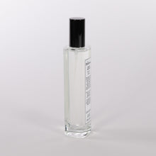 Load image into Gallery viewer, Blue Agave Room Spray One&Only Palmilla