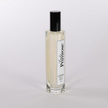 Load image into Gallery viewer, Celadon Room & Linen Spray