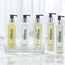 Load image into Gallery viewer, Necture Vanity 5-piece Caddy Set