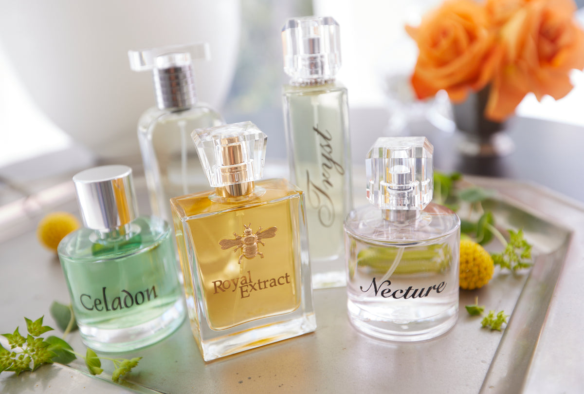 Lady Primrose Perfume | Luxury Eau de Parfum for Sale