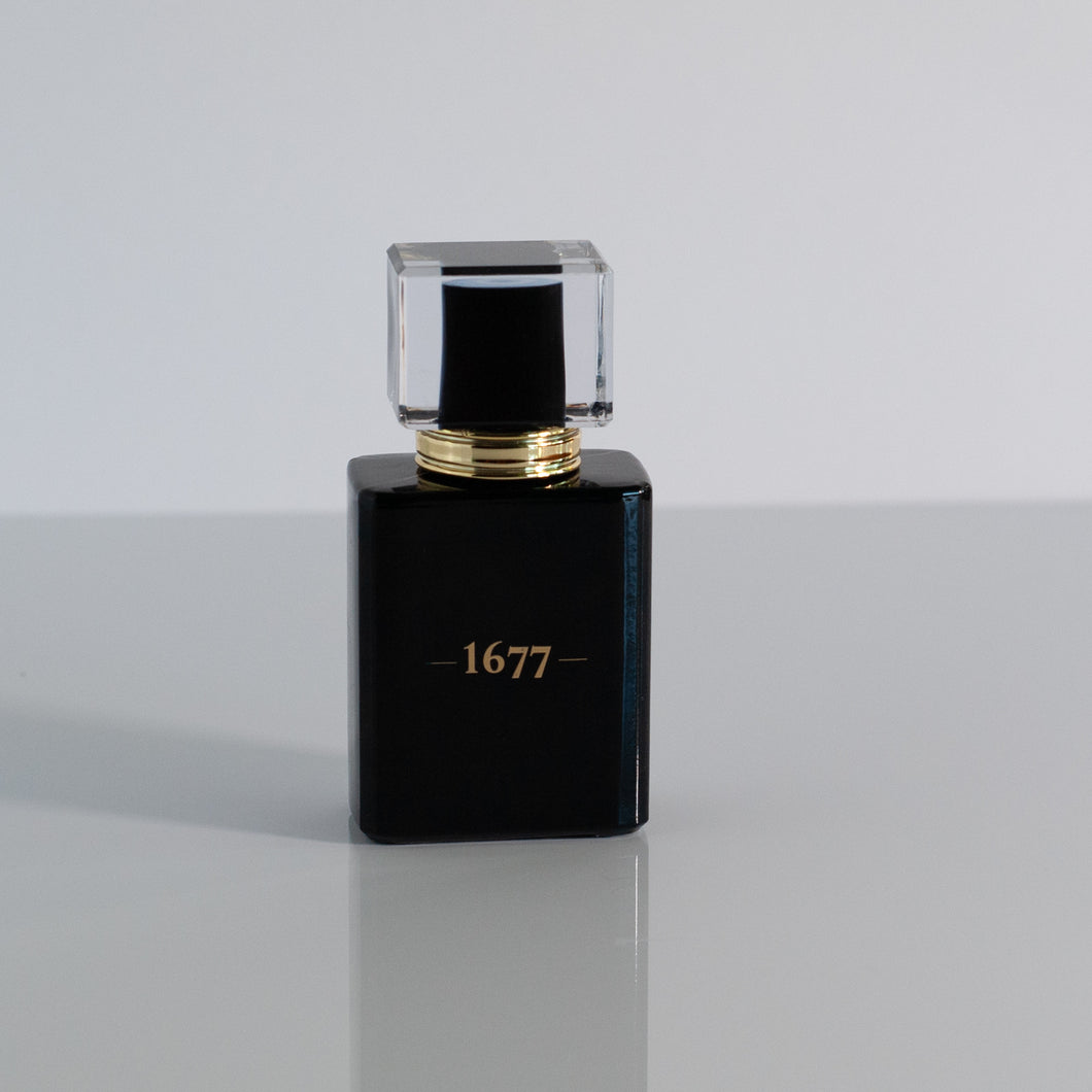 Gentlemen 1677 Cologne