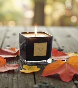 Gentlemen 1677 Candle