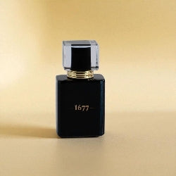 Gentlemen 1677 Cologne