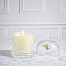 Load image into Gallery viewer, Royal Extract Dome Duo Candle Set
